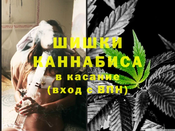 стаф Гусев