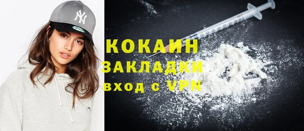 стаф Гусев