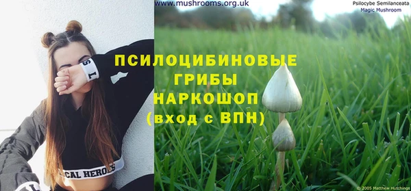 jwh Гусиноозёрск
