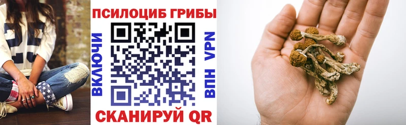 закладка  blacksprut маркетплейс  Галлюциногенные грибы Cubensis  Новохопёрск 